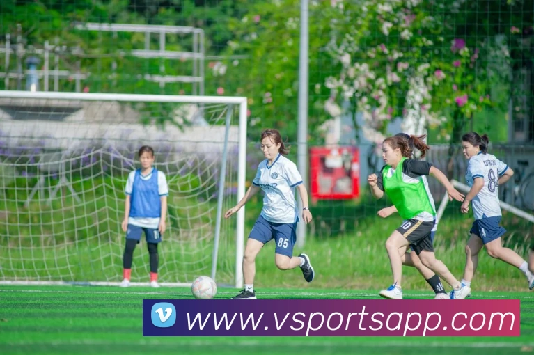 多媒体互动体验